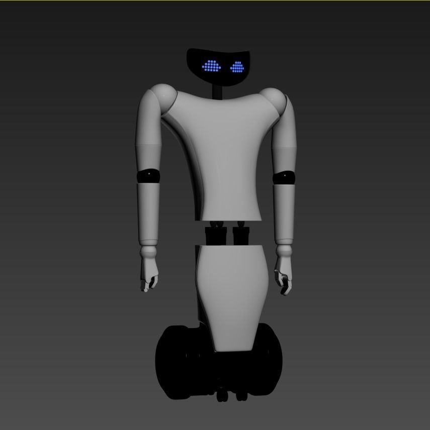 R1 Your Personal Humanoid 3d model vray 3D model_3