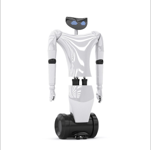 R1 Your Personal Humanoid 3d model vray 3D model
