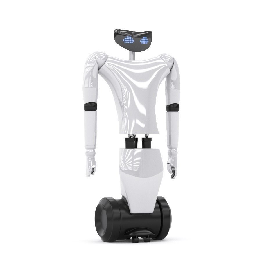 R1 Your Personal Humanoid 3d model vray 3D model_0