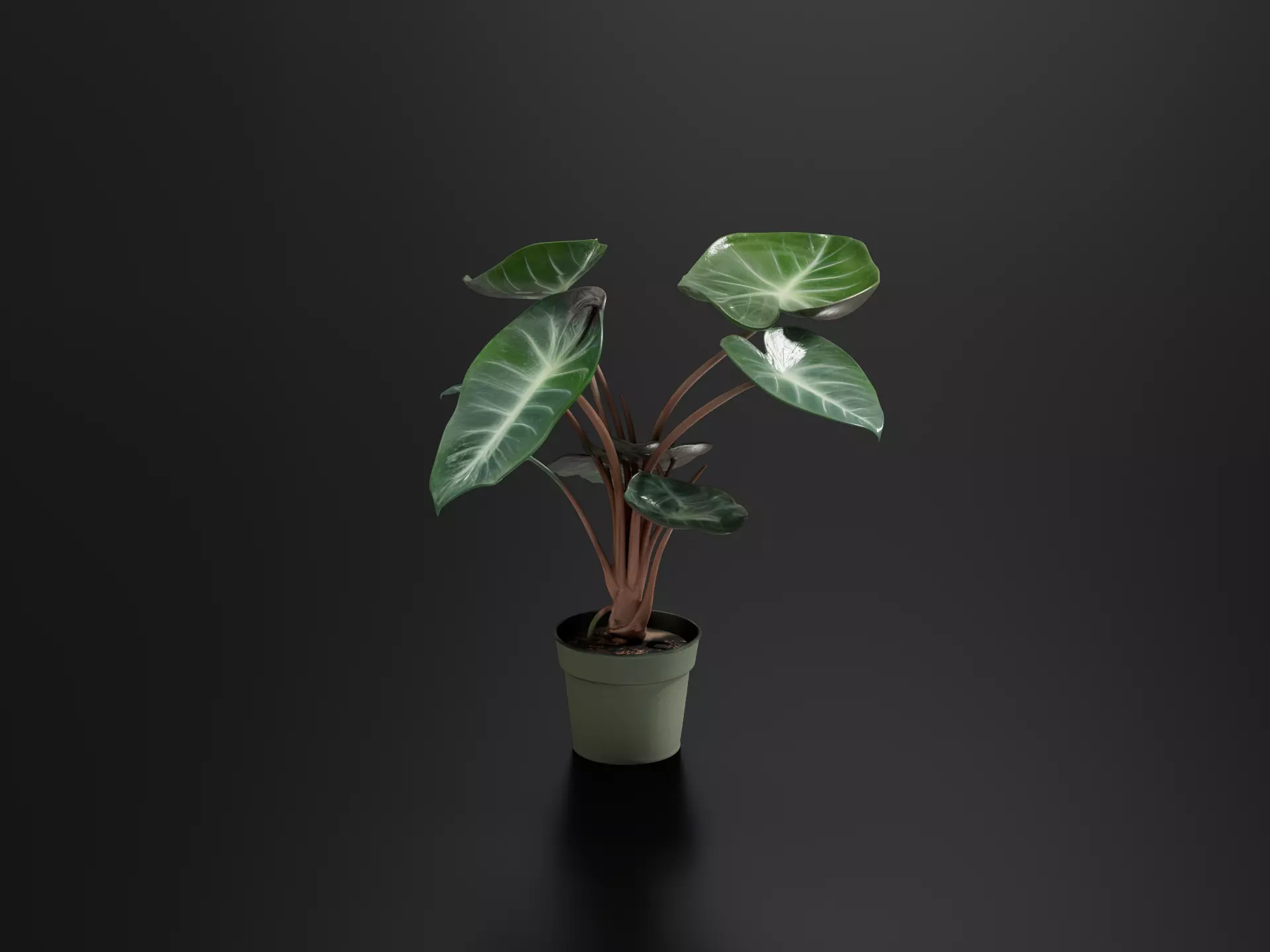 Pink Dragon Plant Pot 3D print model