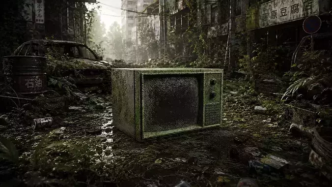 Abandoned CRT TV - Weathered 