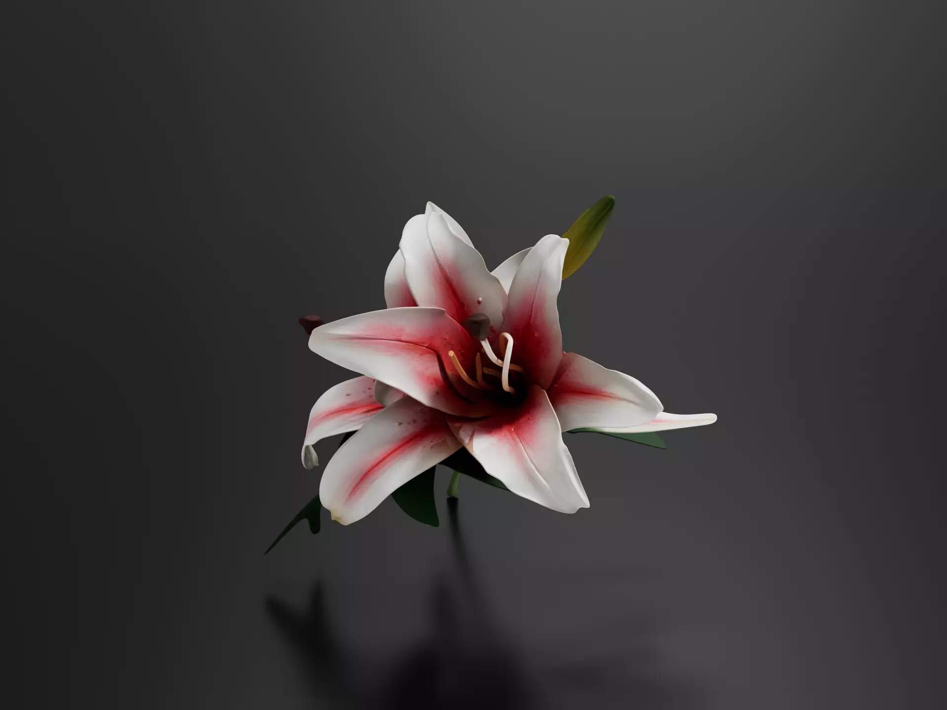 Pink Stargazer Lily Flowers 1 3D print model