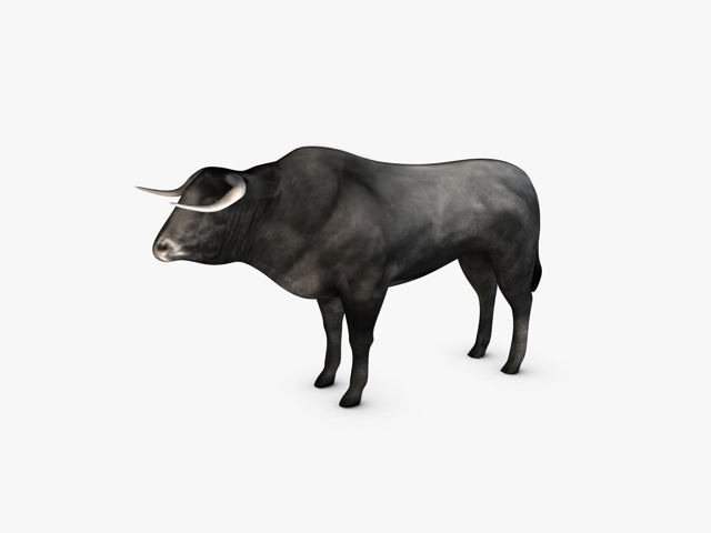 Low Poly Bull Low-poly 3D model_3