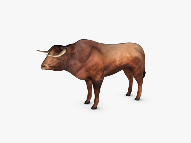 Low Poly Bull Low-poly 3D model_5