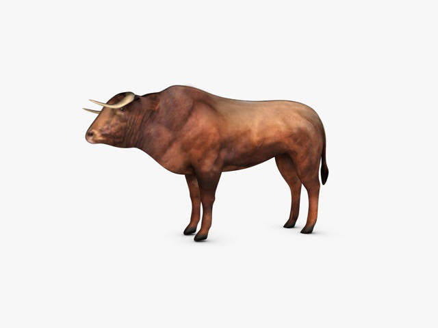 Low Poly Bull Low-poly 3D model_2