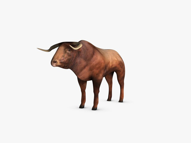 Low Poly Bull Low-poly 3D model_6