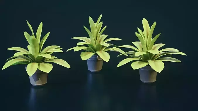 Stylized House Plant 2