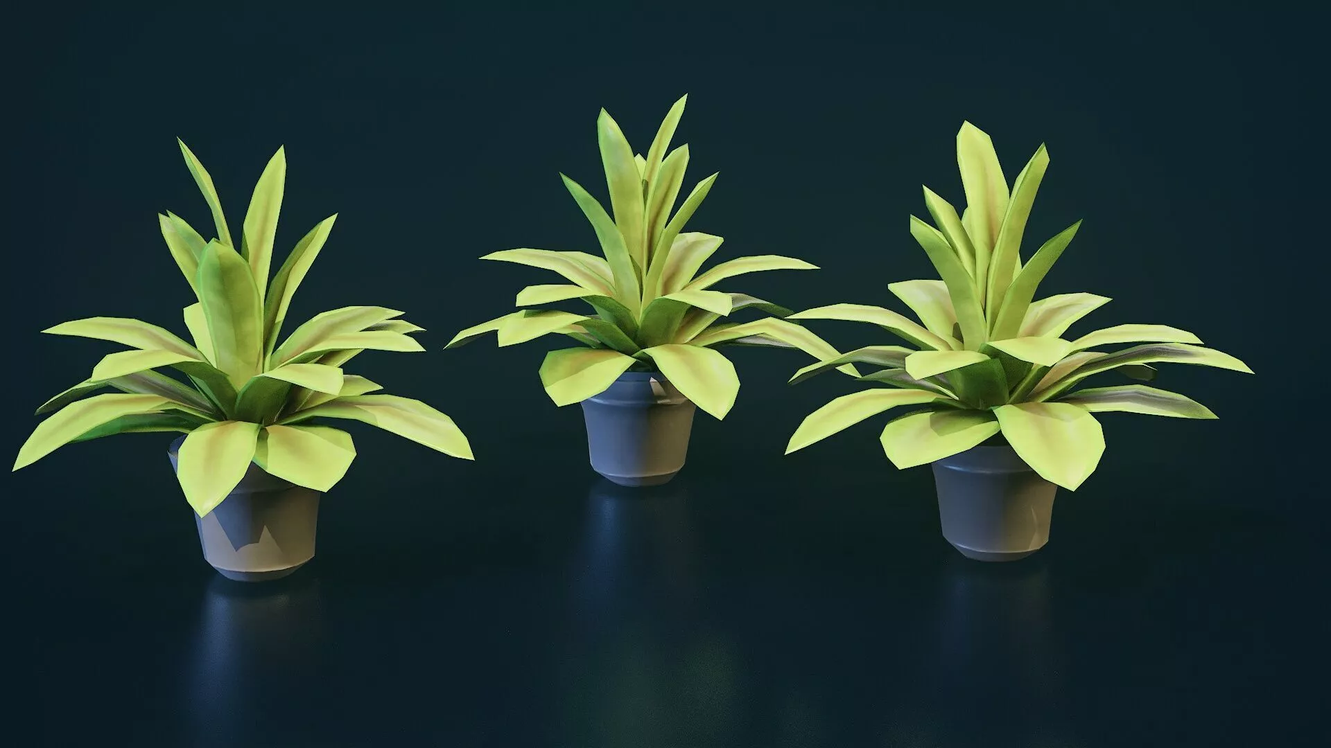 Stylized House Plant 2 Low-poly 3D model