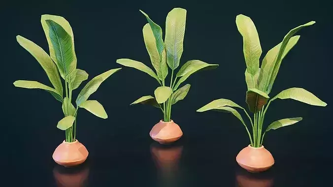 Stylized House Plant 3