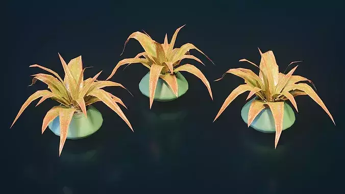 Stylized House Plant 8