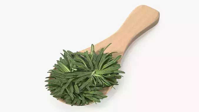 Spoon of Rosemary 3D model