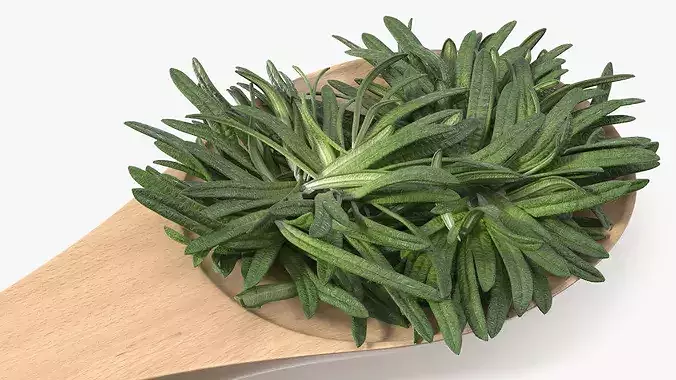 Spoon of Rosemary 3D model 7