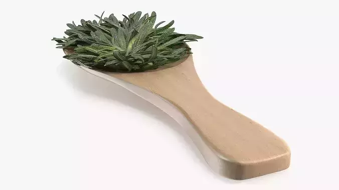 Spoon of Rosemary 3D model 6