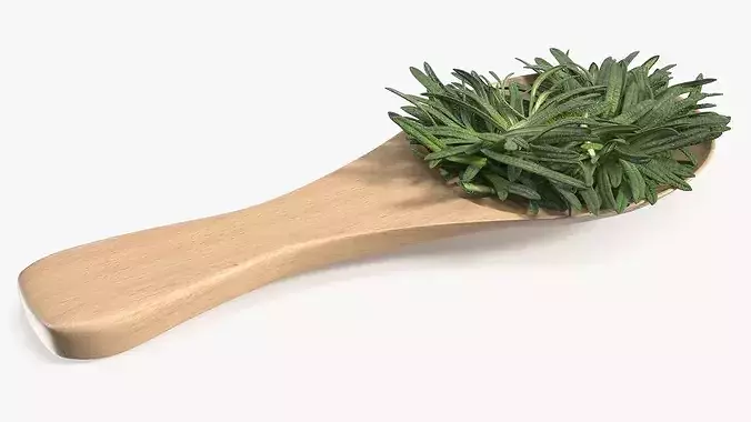 Spoon of Rosemary 3D model 5