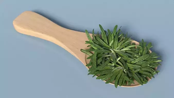 Spoon of Rosemary 3D model 4