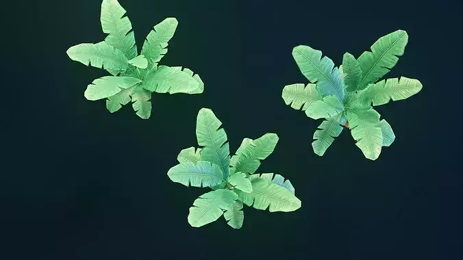 Stylized House Plant 9