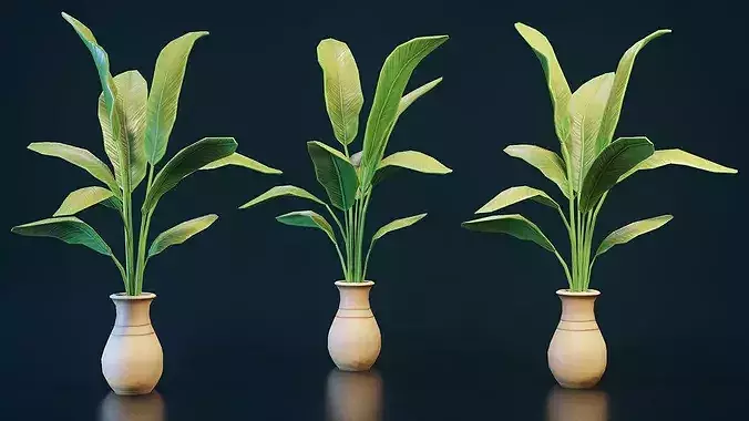 Stylized House Plant 10
