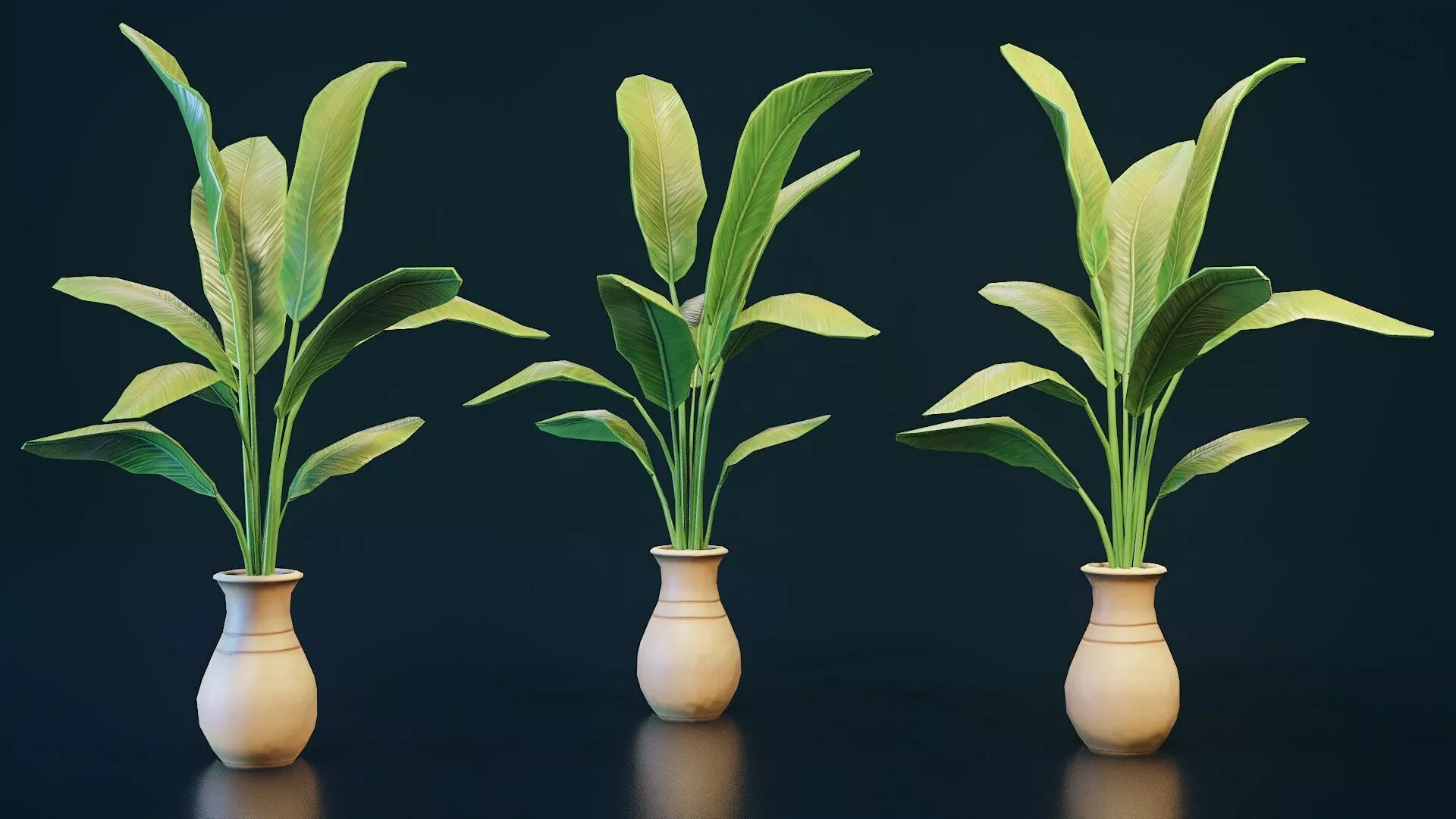 Stylized House Plant 10 Low-poly 3D model