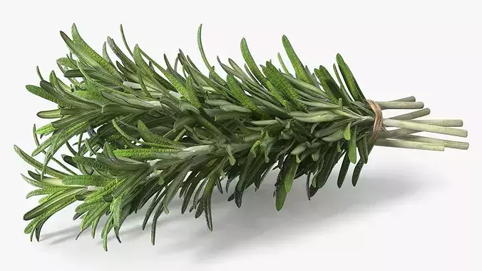 Rosemary Sheaf 3D model