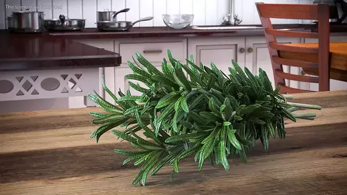 Rosemary Sheaf 3D model 3