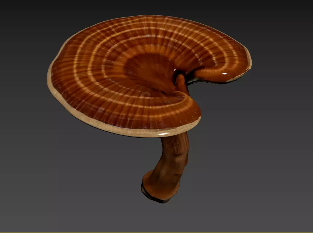 01- Chinese Herbal Scene - Lingzhi 3D model