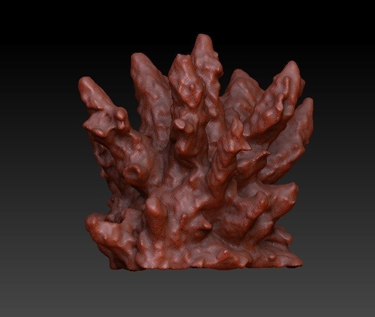Sea Coral Scan Collection 3D model_12