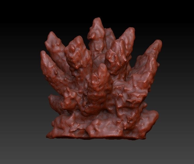 Sea Coral Scan Collection 3D model_10