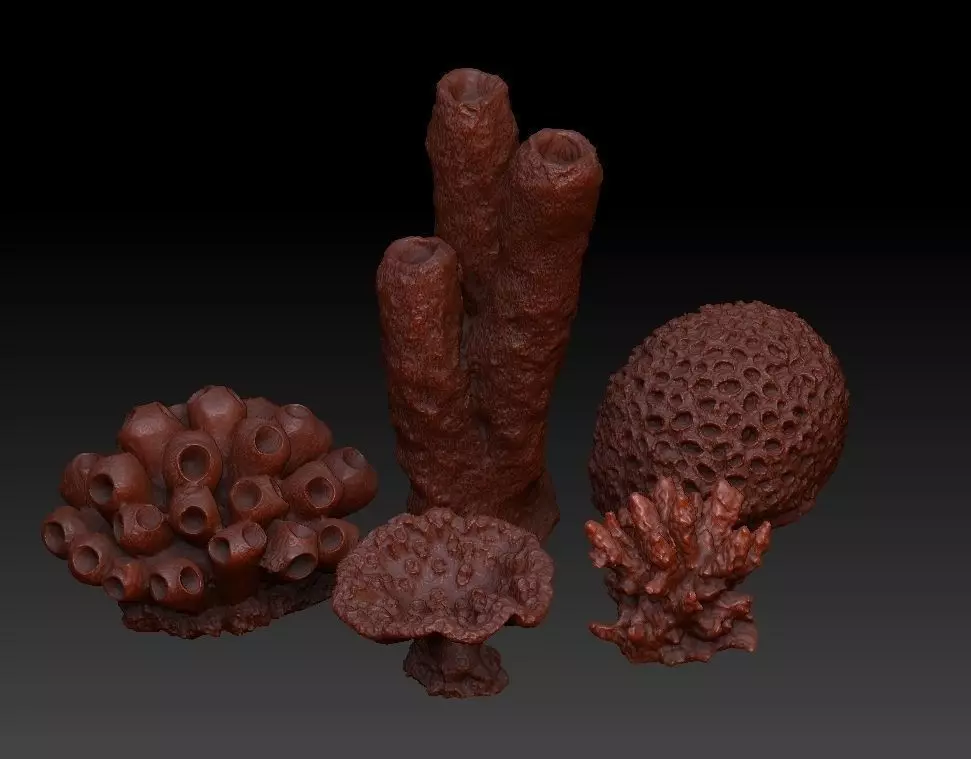 Sea Coral Scan Collection 3D model_0