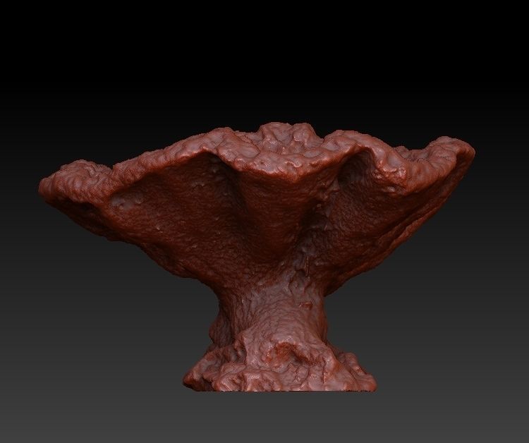 Sea Coral Scan Collection 3D model_4
