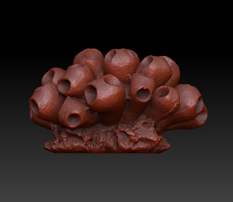 Sea Coral Scan Collection 3D model_27