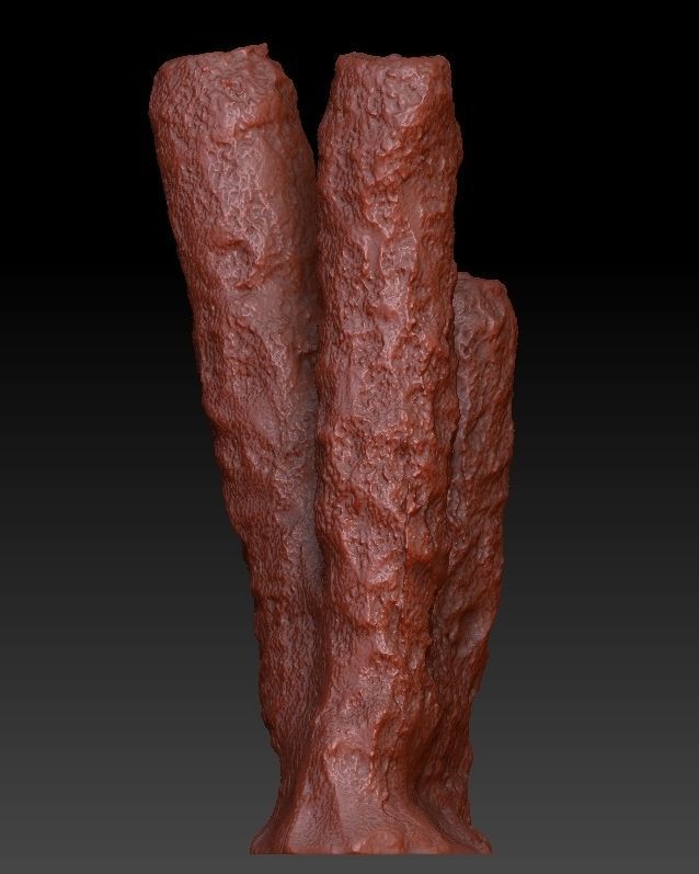 Sea Coral Scan Collection 3D model_15