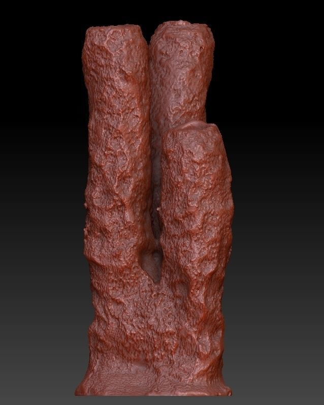 Sea Coral Scan Collection 3D model_16