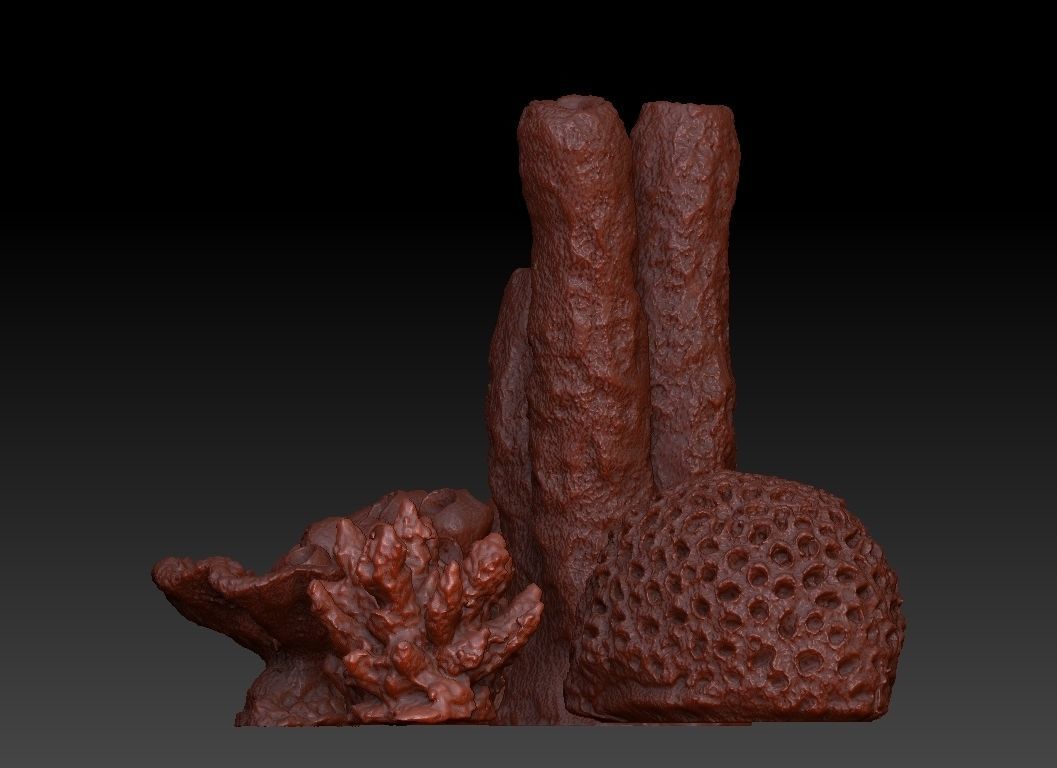 Sea Coral Scan Collection 3D model_2