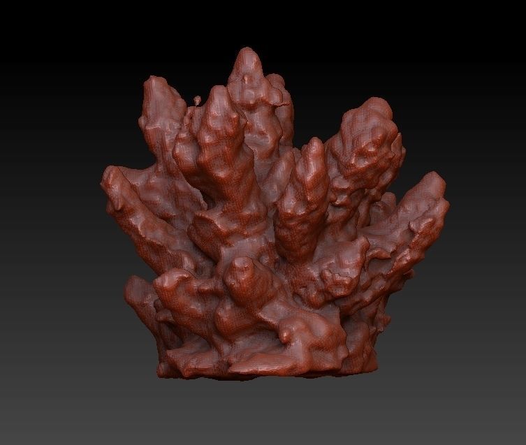 Sea Coral Scan Collection 3D model_9