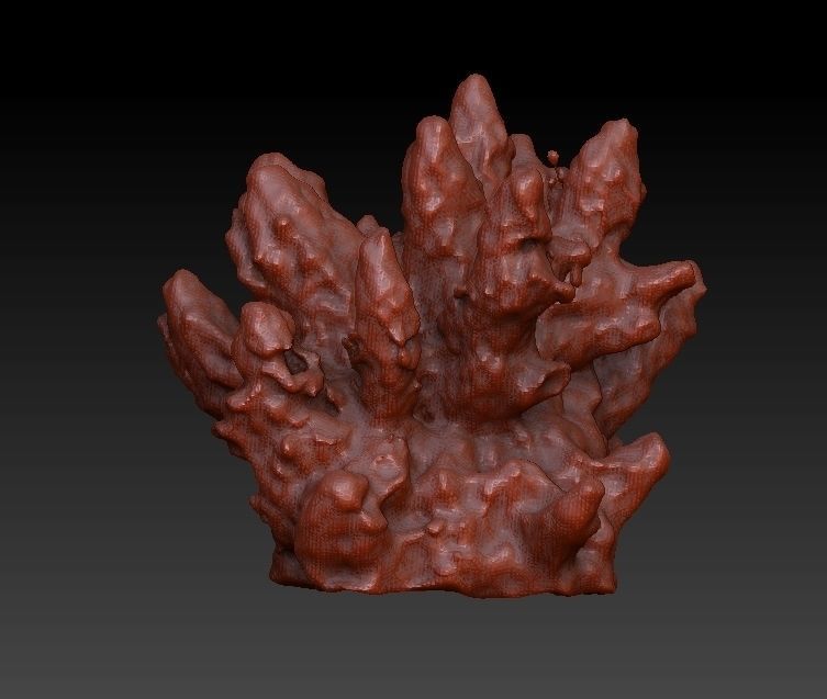 Sea Coral Scan Collection 3D model_11