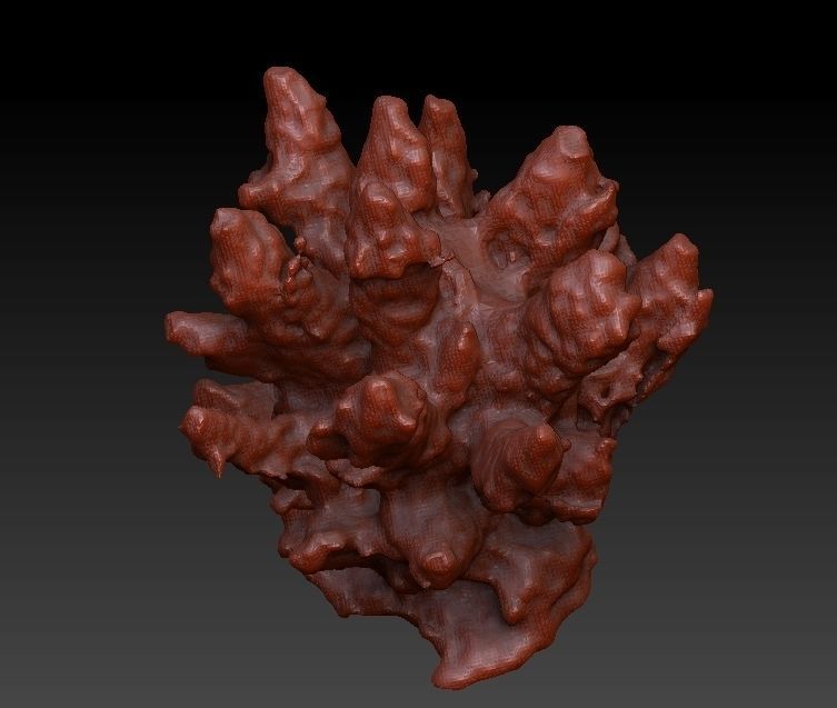 Sea Coral Scan Collection 3D model_14