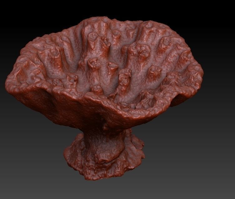 Sea Coral Scan Collection 3D model_7