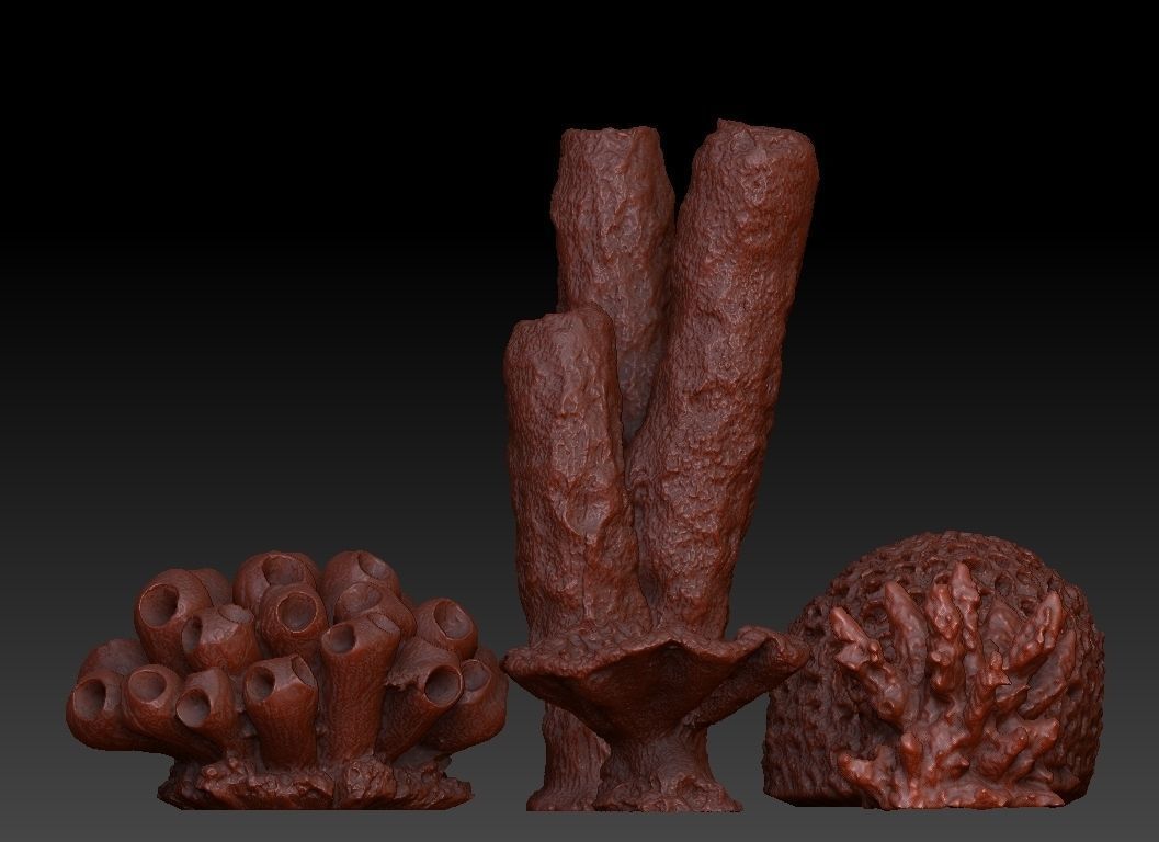 Sea Coral Scan Collection 3D model_1