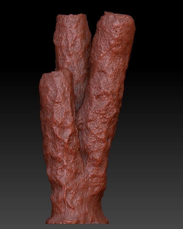 Sea Coral Scan Collection 3D model_18