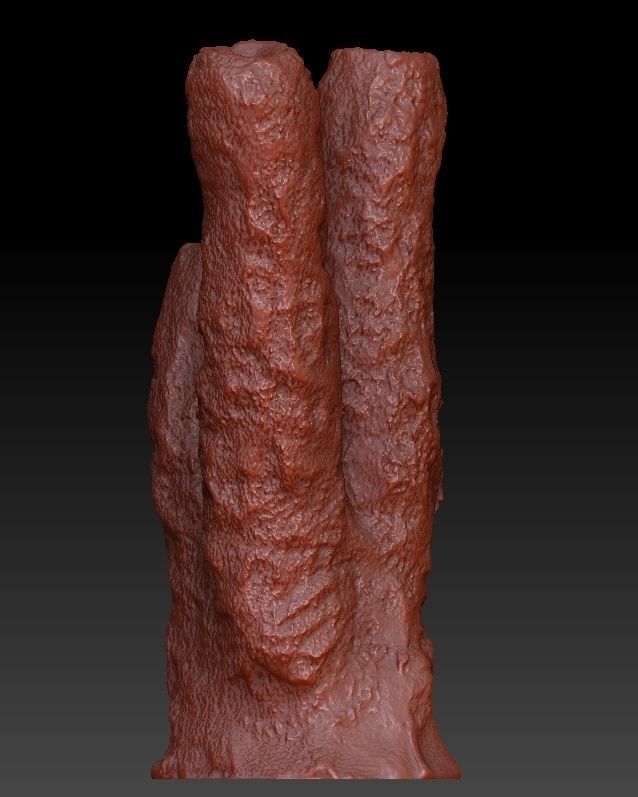 Sea Coral Scan Collection 3D model_17