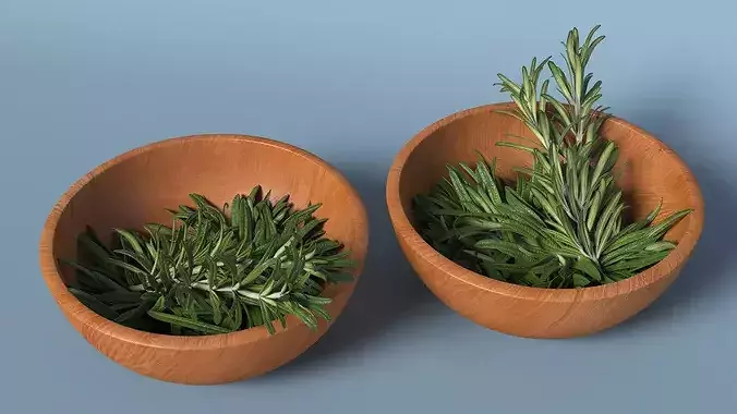 Bowl of Rosemary 3D model 4