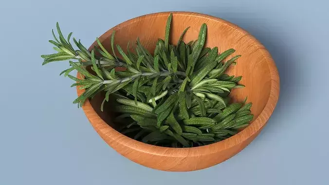 Bowl of Rosemary 3D model 5