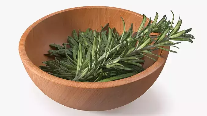 Bowl of Rosemary 3D model 6