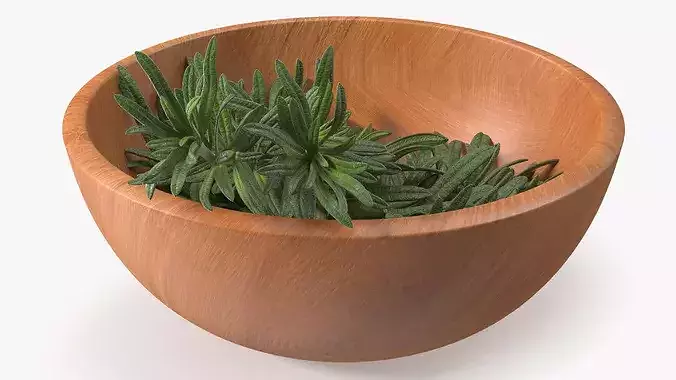 Bowl of Rosemary 3D model 7