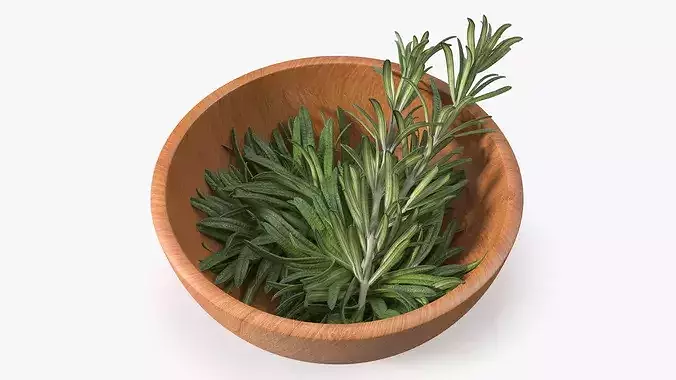 Bowl of Rosemary 3D model