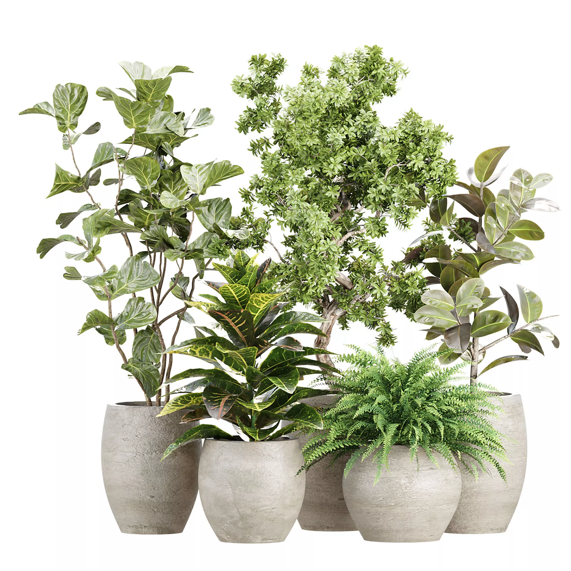 Indoor Pot Plants 500 3D model