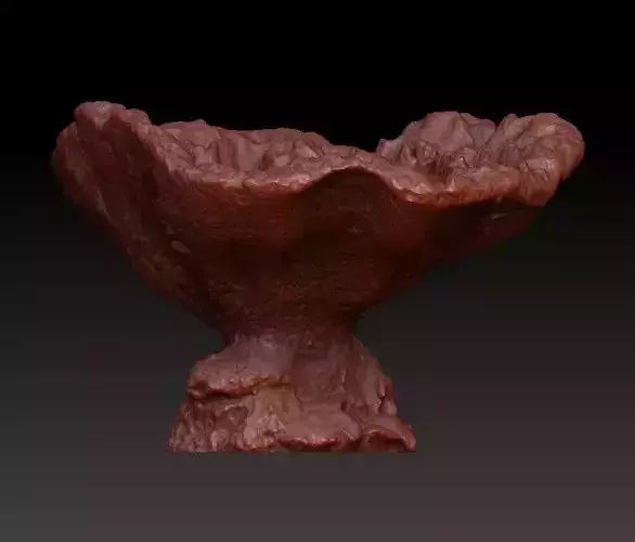 Sea Coral Scan 1 3D model