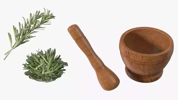Mortar with Rosemary 3D model 7