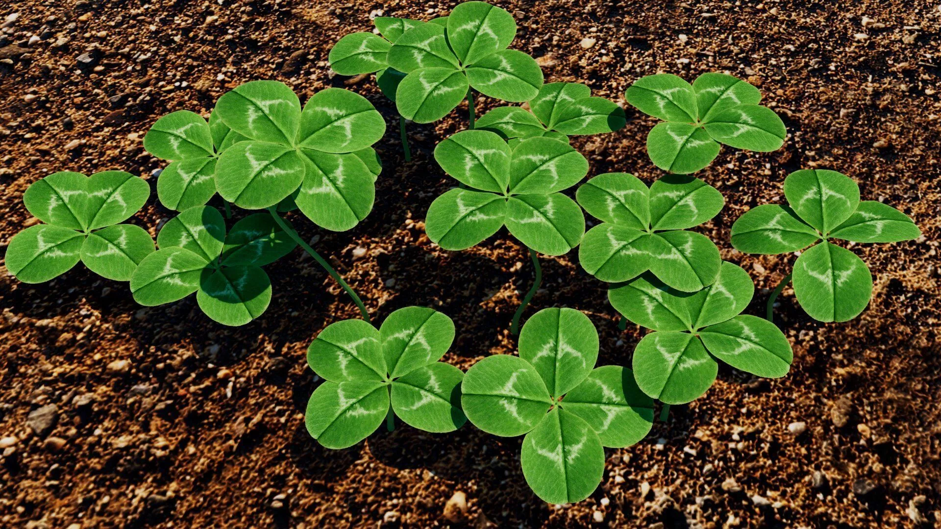 Clover Low-poly 3D model