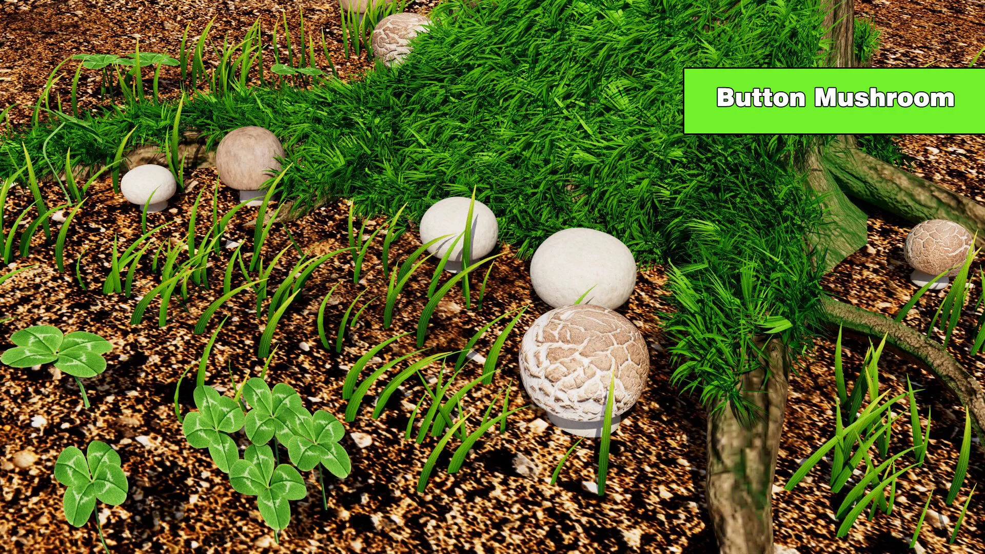Button Mushroom Low-poly 3D model